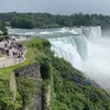 Abu ward - @farahanalanazi - TikTok