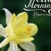 Aby Kurian - Facebook