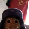 bel - @ac.bell - TikTok