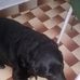 Acacio Santos Mendes - Facebook