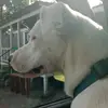 Adrian (ACE) - @adrian.ace5 - TikTok
