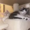 Ace & Angel - @aceangel222 - TikTok