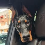 Ace - @ace_of_astoria - Instagram