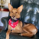 Ace Burroughs - @aceaveryburroughs - Instagram