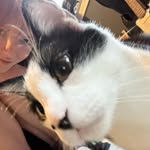 Ace/Avery - @wetbread8339 - Instagram