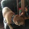Ace Baker - @aceistheman - TikTok