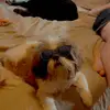 barrettacedupuy - @barrettacedupuy - TikTok