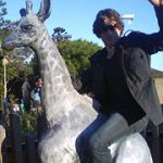 acebaxter - @acebaxter - Instagram