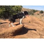 Ace Bell - @_ace_bell - Instagram