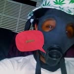 Ace Bell - @ace.bell - Instagram