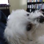 Ace Bennett - @ace.bennett.549 - Instagram