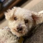 Ace - @ace_berry__ - Instagram