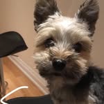 Ace (aka Bino) - @crazzyyboyy10 - Instagram