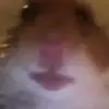Ace Black - @aceuto - TikTok
