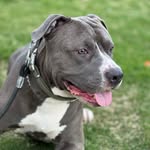 @ace_blue__ - Instagram