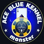 Ace Blue Kennel - @acebluekennel - Instagram