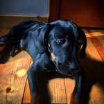 Ace Blue McDaniel - @ace_blue_mcdaniel - Instagram