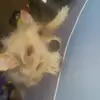 Ace Boon - @ace.boon25 - TikTok