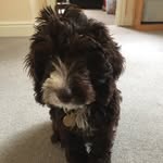 Ace - @bridgesace - Instagram
