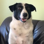 Ace Buckley Cook - @acebuckleycook - Instagram