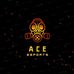 ACE-cam - Facebook