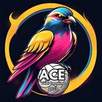ACE Camp Vôlei 💙🖤💛🩷 - @goacevoleibol - Instagram