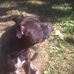 Ace Campbell - Facebook