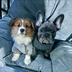 Ace Campbell - @acecampbell - Instagram
