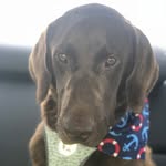 Ace Cannon - @chocolate__ace - Instagram