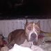 Ace capone - Facebook