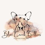 Ace Carroll - @bleucreekbullies - Instagram