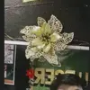 Ace Cortez - @ace.cortez7 - TikTok