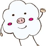 @npo_ace_cotton - Instagram
