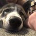 Ace Crawford - Facebook