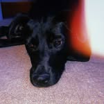 Lennox Ace Cunningham - @lennox.ace - Instagram