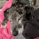 Ace Davis - Facebook
