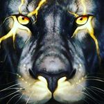 Deuce Deuce - @ace.deuce.144 - Instagram