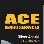 Oliver Aceski - @acedingoservice - Instagram