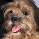 @ace.dion_ - Instagram