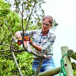 Ace Hardware and Rental - @acehardwaredixon - Instagram