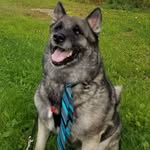 @ace_dude56 - Instagram