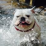 ACE_DUDE_246 - @ace_dude_246 - Instagram