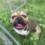 Ace Eaton - @ace.eaton23 - Instagram