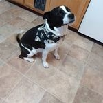 Ace Elliott - @risottoace - Instagram