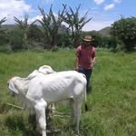 Eusebio Aceytuno - @eusebioaceytuno - Instagram