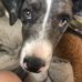 Ace Evans - Facebook