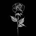 Ace Evans - Facebook