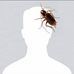 Ẅonĝ Äceh - Facebook