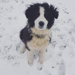 ace williams - @ace_gordan_fletcher_williams - Instagram