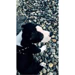 Acefletcherr - @acefletcherr - Instagram